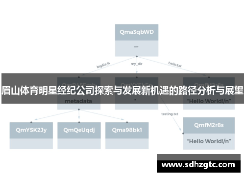 眉山体育明星经纪公司探索与发展新机遇的路径分析与展望