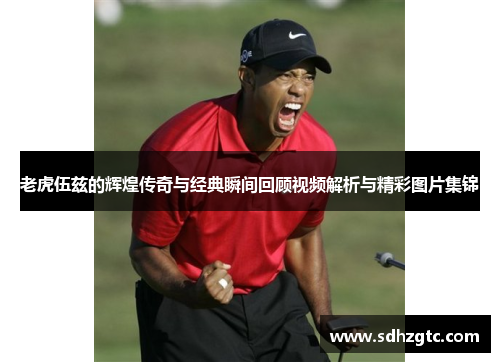 老虎伍兹的辉煌传奇与经典瞬间回顾视频解析与精彩图片集锦
