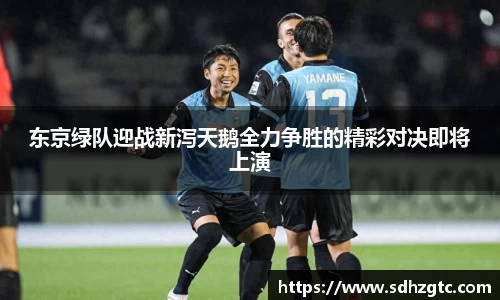东京绿队迎战新泻天鹅全力争胜的精彩对决即将上演