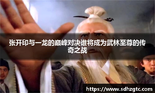 张开印与一龙的巅峰对决谁将成为武林至尊的传奇之战